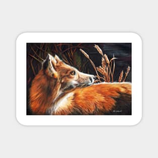 For Fox Sake Magnet