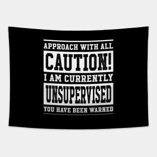 Caution Unsupervised Tapestry