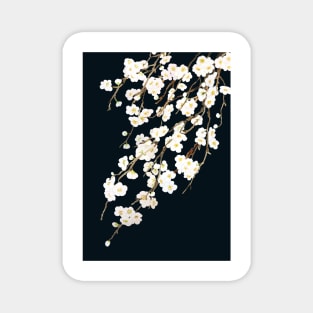 blossom in black background Magnet