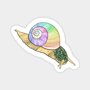 Rainbow Snail Magnet