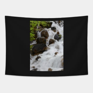 Whispering Waterfalls Tapestry