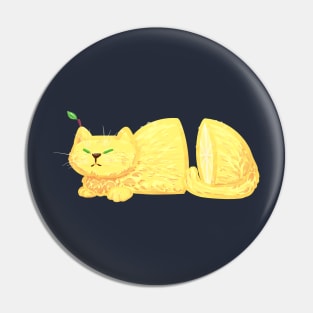 lem cat Pin