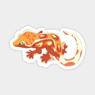 Extreme Harlequin Crested Gecko Magnet