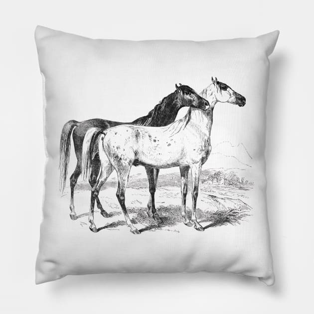 Horses Black & White Illustration Pillow by Biophilia