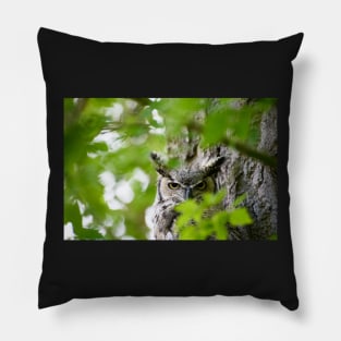 Wisdom of Silence Pillow