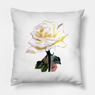 White rose Pillow