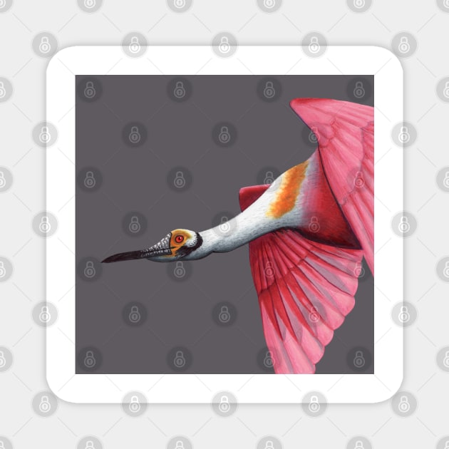 Spoonbill Magnet by somekindofguru