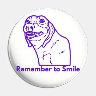 Remember to Smile Pin