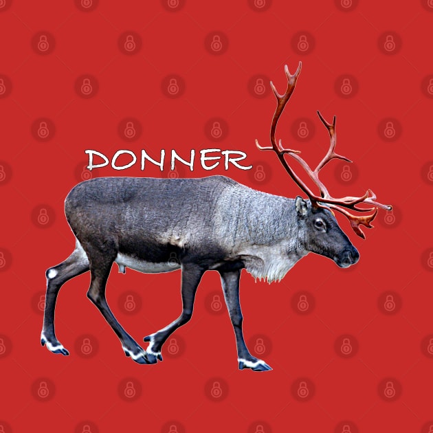 Donner by FotoJarmo