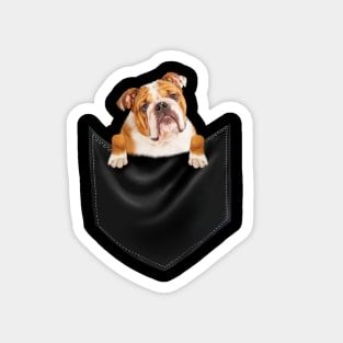 American Bulldog inside Pocket, Dog Lover Magnet