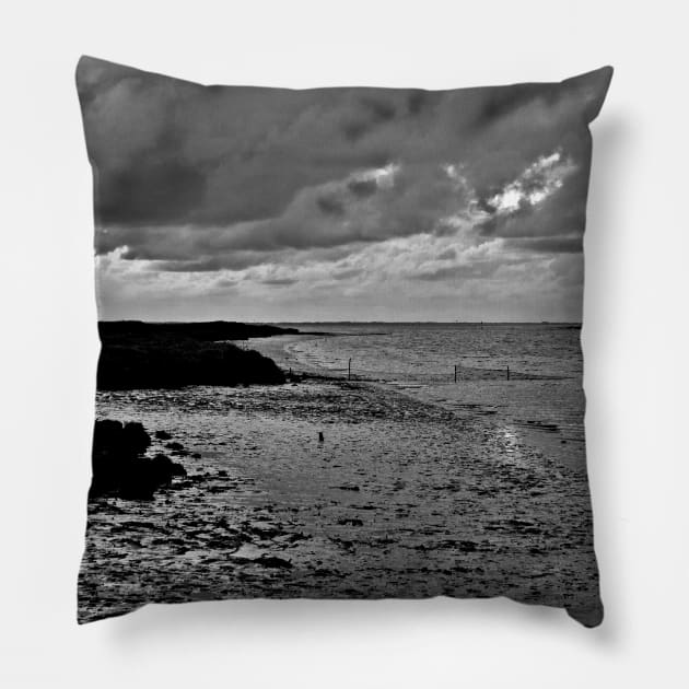 River to the open Danish Sea Pillow by SILVA_CAPITANA