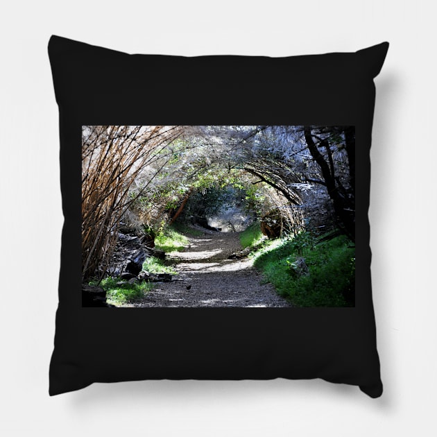 Argentine - San Carlos de Bariloche Pillow by franck380