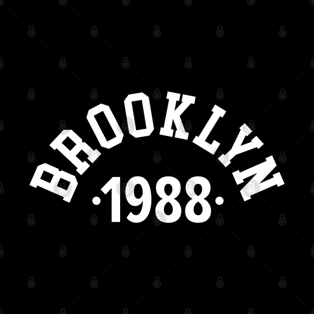 Brooklyn Chronicles: Celebrating Your Birth Year 1988 by Boogosh