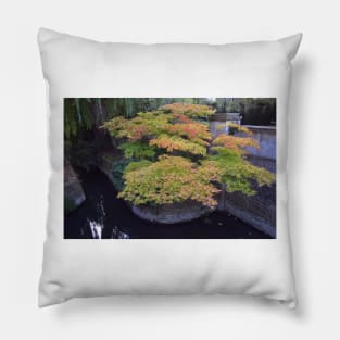 Pond at Christ Church College, Oxford, UK Pillow