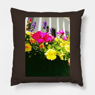 Window Box Pillow