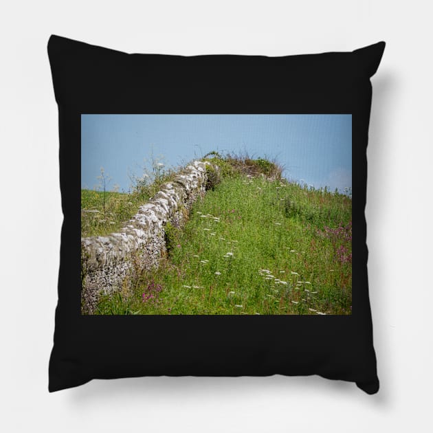 Wembury Dry Stone Wall Pillow by jonrendle