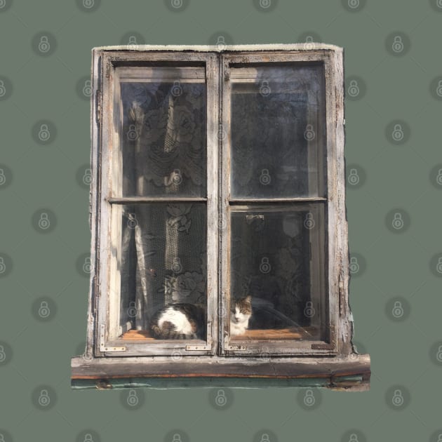 Window Cat by TenomonMalke