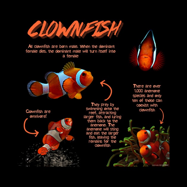 Clownfish Fun Facts by Animal Facts and Trivias