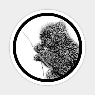 Gentle lemur illustration Magnet