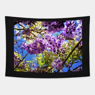 Wisteria in the Summer Tapestry