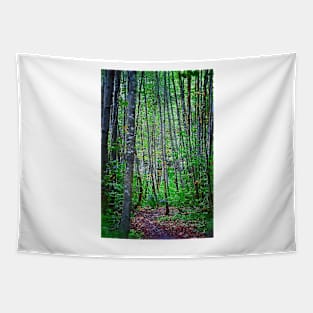 Skinny Tree Trunks Tapestry