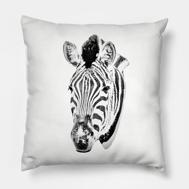 Drawing conversion of a Zebra Pillow by dalyndigaital2@gmail.com