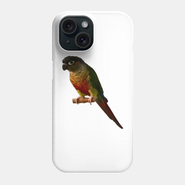 Green Cheek Conure Parrot Bird design, Love for birds Phone Case by TatianaLG