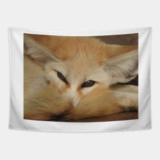 Fennec Fox Tapestry