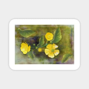 Sweet Little Buttercups Magnet