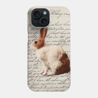 dark academia fairy woodland nursery easter bunny wild hare rabbit Phone Case