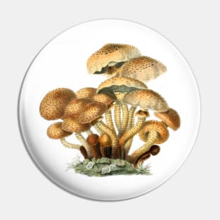 Shaggy Scaly Cap Mushroom Vintage Mycology Painting Pin