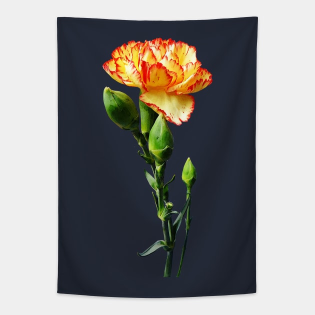 Carnations - One Red-Tipped Yellow Carnation Tapestry by SusanSavad