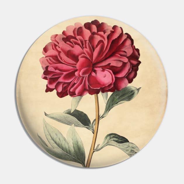 Vulcan Peony Pin by ptMaker