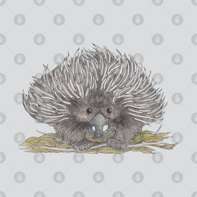 Echidna by AussieLogic