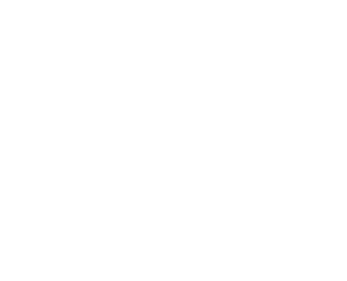 Shar Pei Training Shar Pei Tricks Magnet