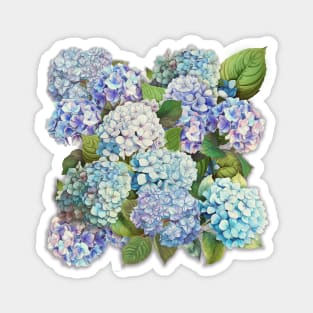 Hydrangeas from Faial Magnet