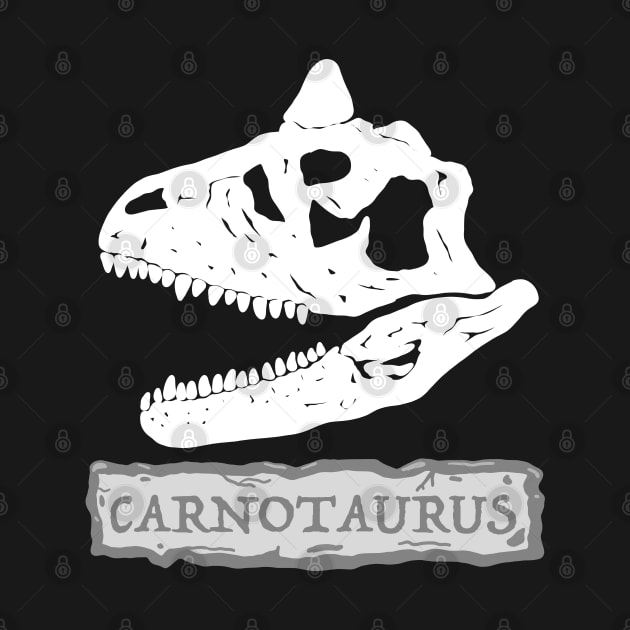 Carnotaurus Skull by SNK Kreatures