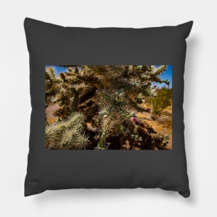 Cholla Cactus along the Apache Trail Pillow