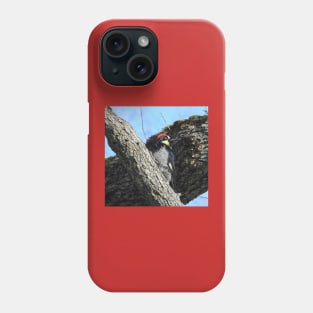 Wildlife gifts, acorn woodpecker, birds, nature Phone Case