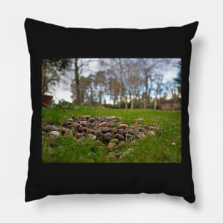 Pebbles and pine close up in the garden Pillow