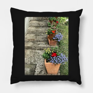 Flowerpots on Concrete Stairs Pillow