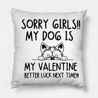 My dog is my valentine.. Better luck next time!!! Pillow