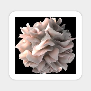 Dendritic cell, SEM (C016/4763) Magnet