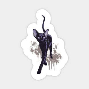 black cat paw Magnet