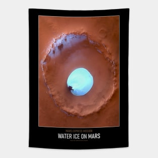 High Resolution Astronomy Water Ice on Mars Tapestry