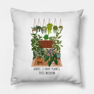 Sorry, I have plants this weekend Pillow