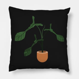 Philodendron Joepii rare plant Pillow