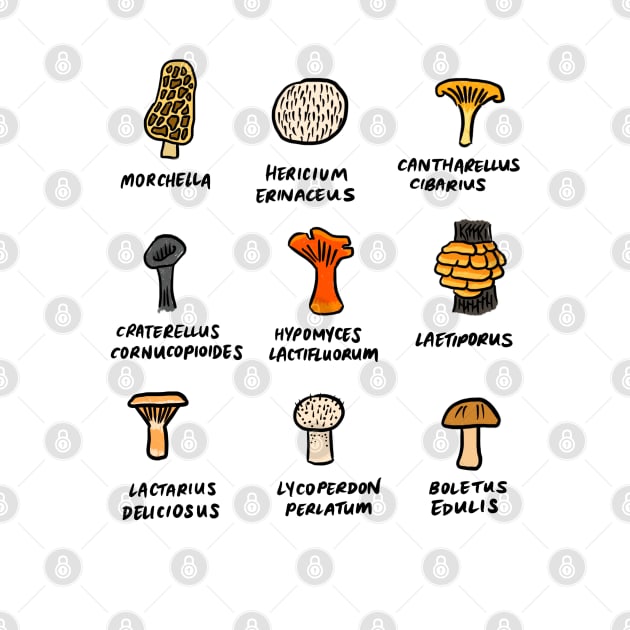 Illustrated Types of Wild Fungi by bonniemamadraws