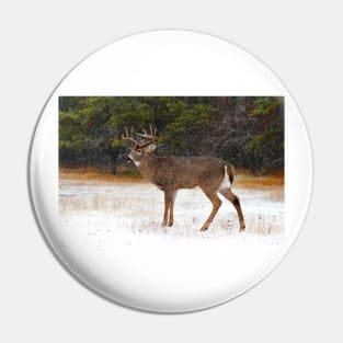 Buck in Snow - White-tailed Deer Pin