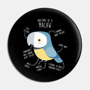 Blue and Gold Macaw Parrot Anatomy Pin